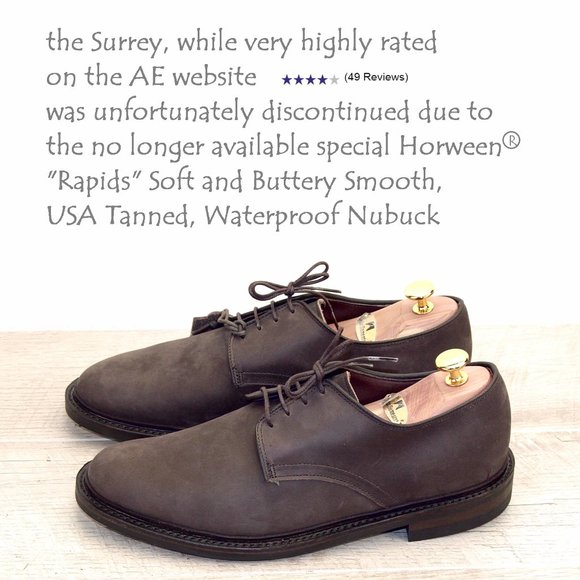 NIB * Allen Edmonds SURREY Horween 8.5 D *newTrees - Picture 7 of 8